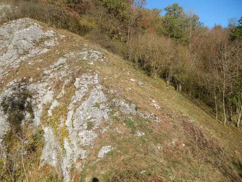 Coteaux de la Leffe