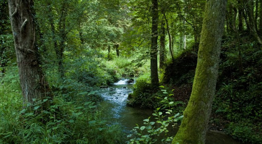 Région boisée et naturelle de Leffe